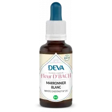 Marronnier Blanc - White chestnut Elixir floral 