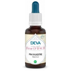 Pin Sylvestre - Pine - Elixir floral 