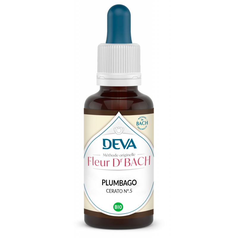 Plumbago - Cerato - Elixir floral - Confiance en soi