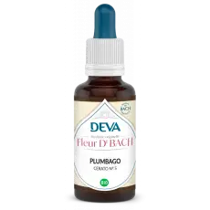 Plumbago - Cerato - Elixir floral 