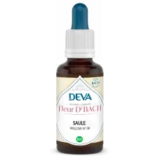 Saule - Willow - Elixir floral 