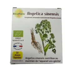 Angélique chinoise (Angelica Sinensis) Bio Ampoules DDM