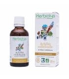 Achillée millefeuille PHYTO, Complément Alimentaire BIO