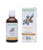 Solidago Verge d'or PHYTO, complément alimentaire BIO