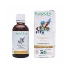 Solidago Verge d'or PHYTO, complément alimentaire BIO