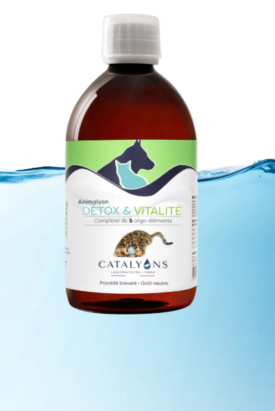 Animalyon Detox et vitalité