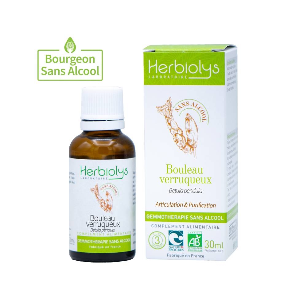 Bouleau GEMMO, complément alimentaire BIO sans alcool