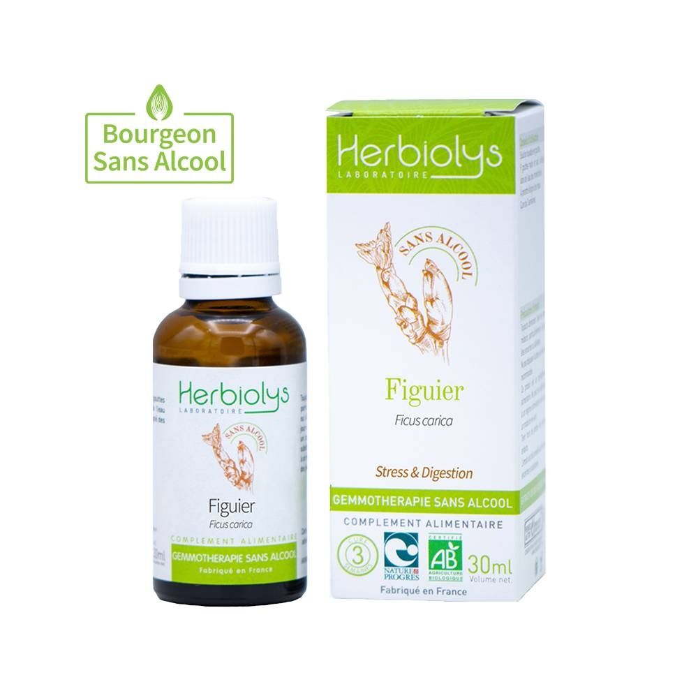 Figuier GEMMO, complément alimentaire BIO sans alcool