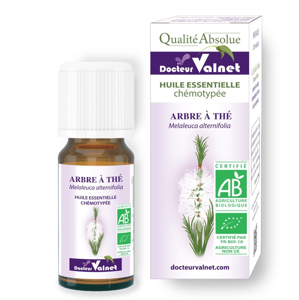 Arbre à thé - Huile essentielle BIO - tea tree