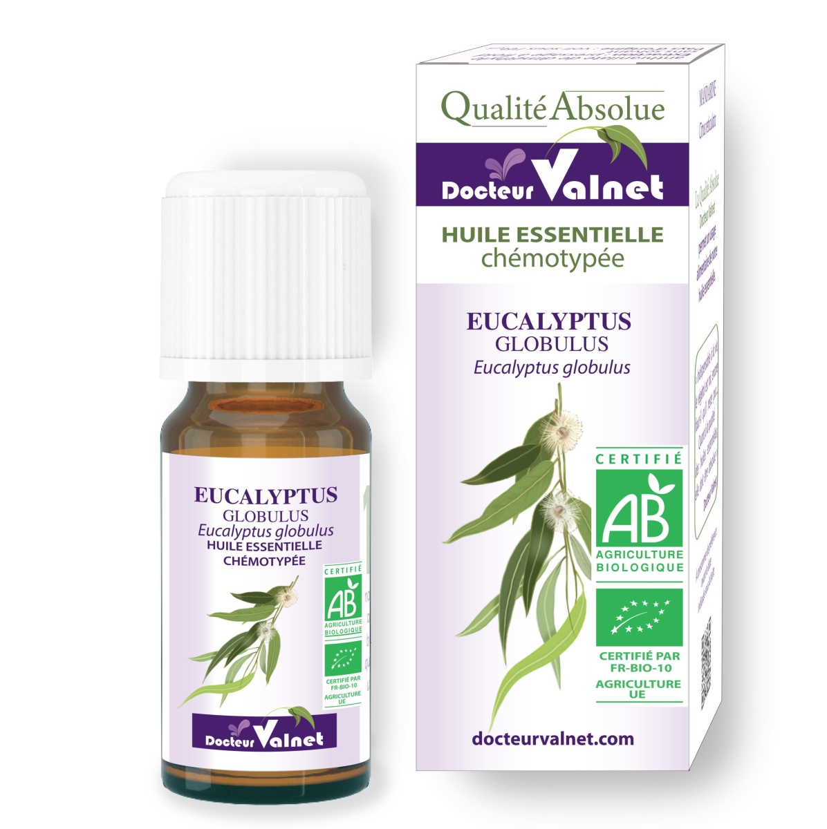 Eucalyptus globulus - Huile essentielle BIO