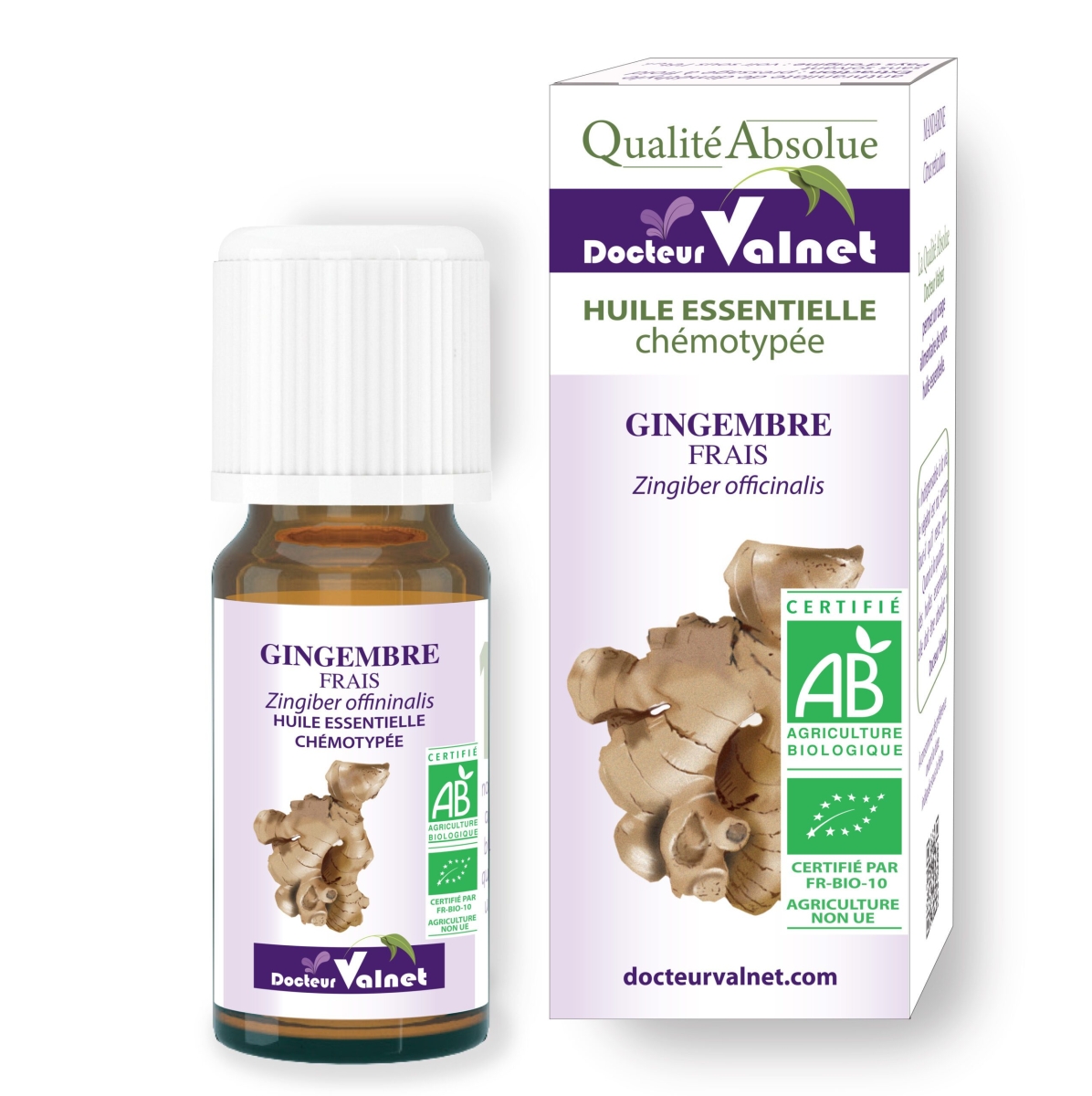 Gingembre frais - Huile essentielle BIO