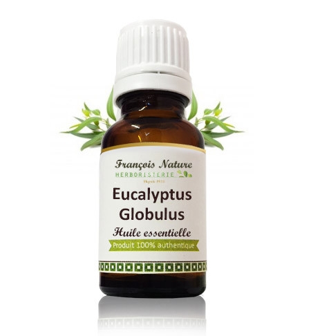Eucalyptus Globulus feuille Huile essentielle - Agriculture Biologique DDM