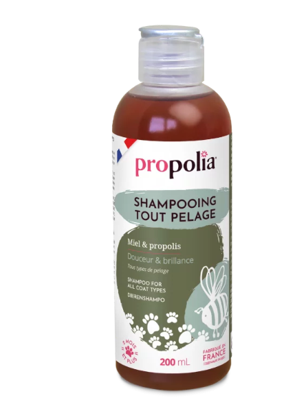 Shampoing tout pelage