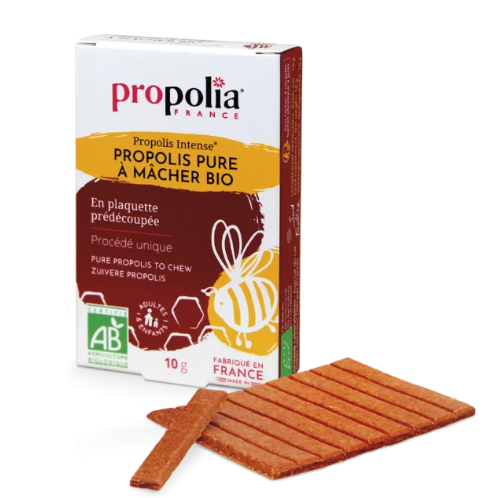 Propolis pure à mâcher Bio