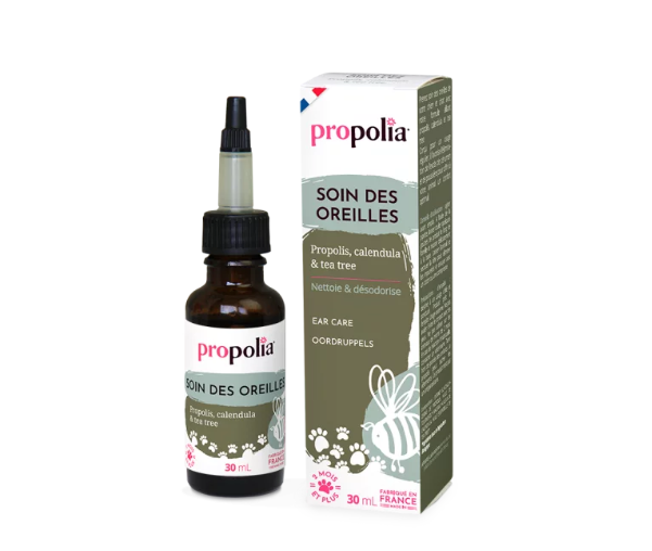 Soin des oreilles - Propolis, calendula & tea tree