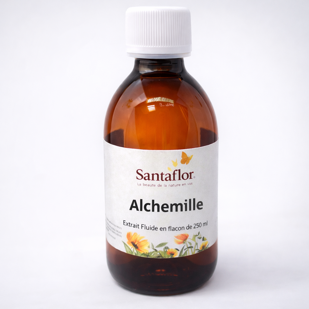 Alchemille vulgaire extrait liquide