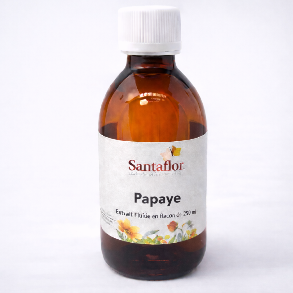 Papaye feuille extrait liquide