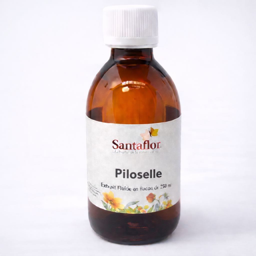 Piloselle plante extrait liquide