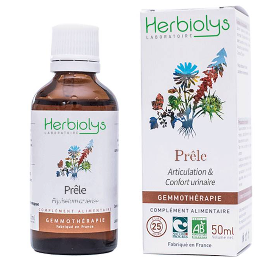 Prêle GEMMO, Complément Alimentaire BIO
