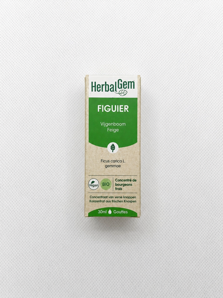 Figuier - Macérat concentré de bourgeons BIO