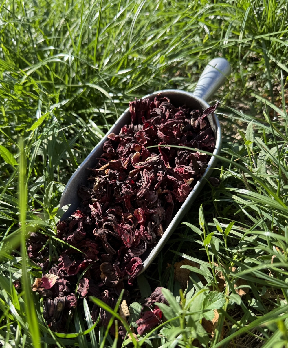 HIBISCUS KARKADE fleur - Tisane vrac - Agriculture Biologique
