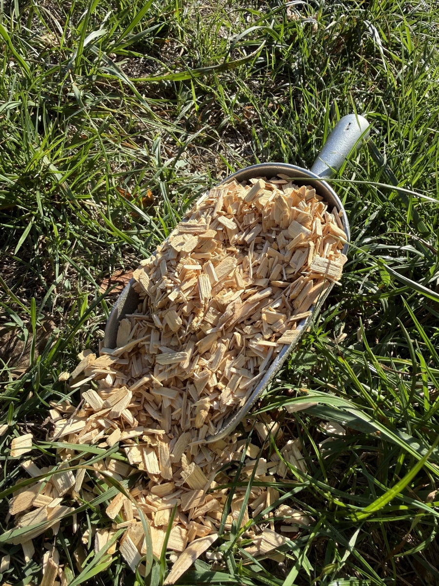 AUBIER DE TILLEUL blond - Tisane vrac