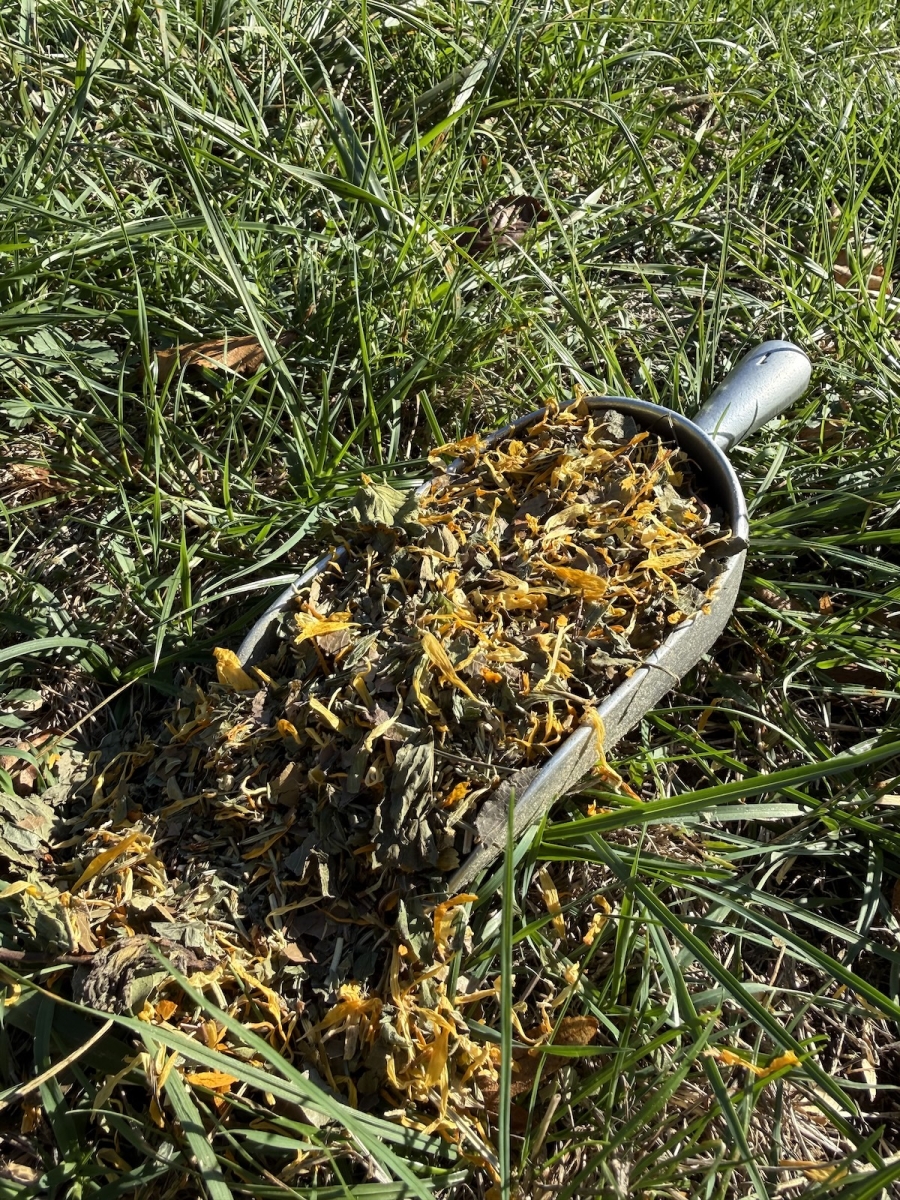 Tisane foie vésicule