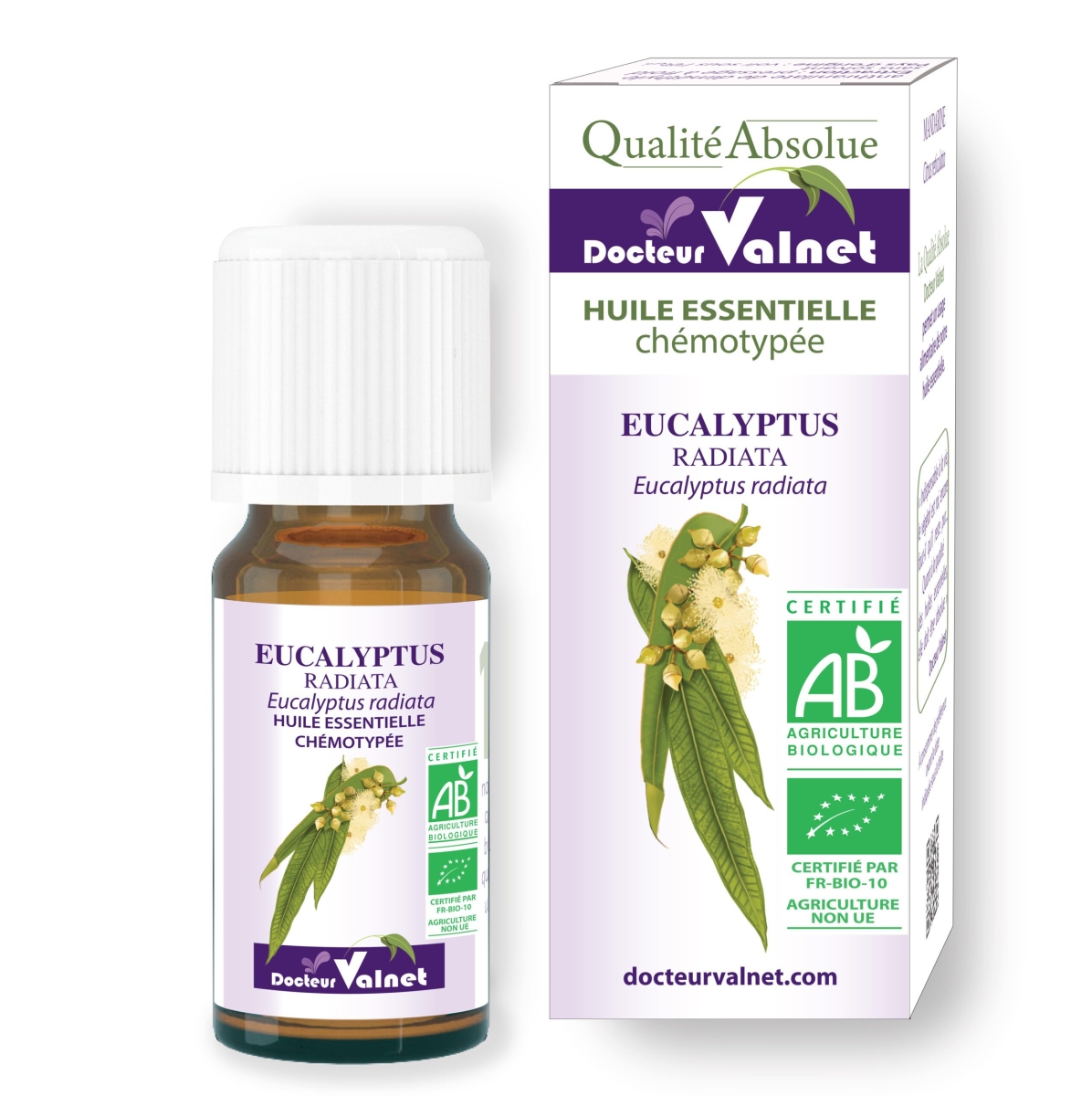 Eucalyptus radiata - Huile essentielle BIO - Date Courte - DDM