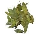 Séné Feuille vrac - 100 g - Tisane Laxative - Francois Nature