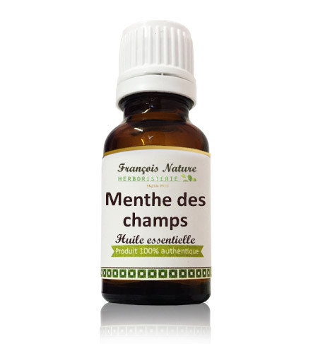 Menthe des champs partie aérienne Huile essentielle