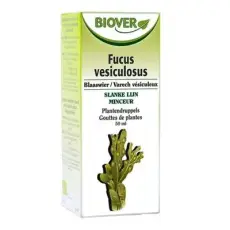 Fucus - Varech vésiculeux teinture