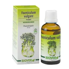 Fenouil teinture BIO