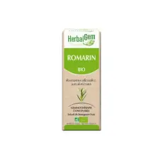 Romarin - Macérat concentré de bourgeons BIO