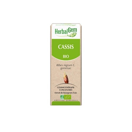 Cassis - Macérat concentré de bourgeons BIO