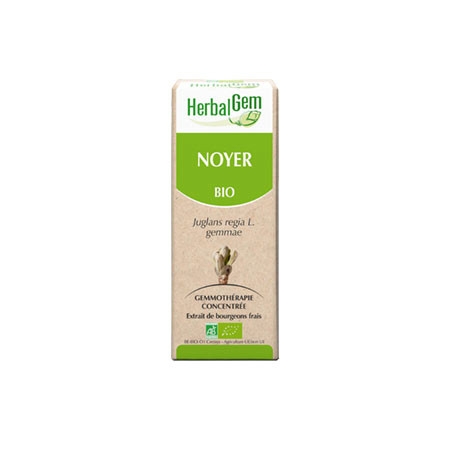 Noyer - Macérat concentré de bourgeons BIO