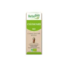 Châtaignier - Macérat concentré de bourgeons BIO