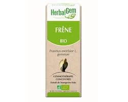 Frêne - Macérat concentré de bourgeons BIO