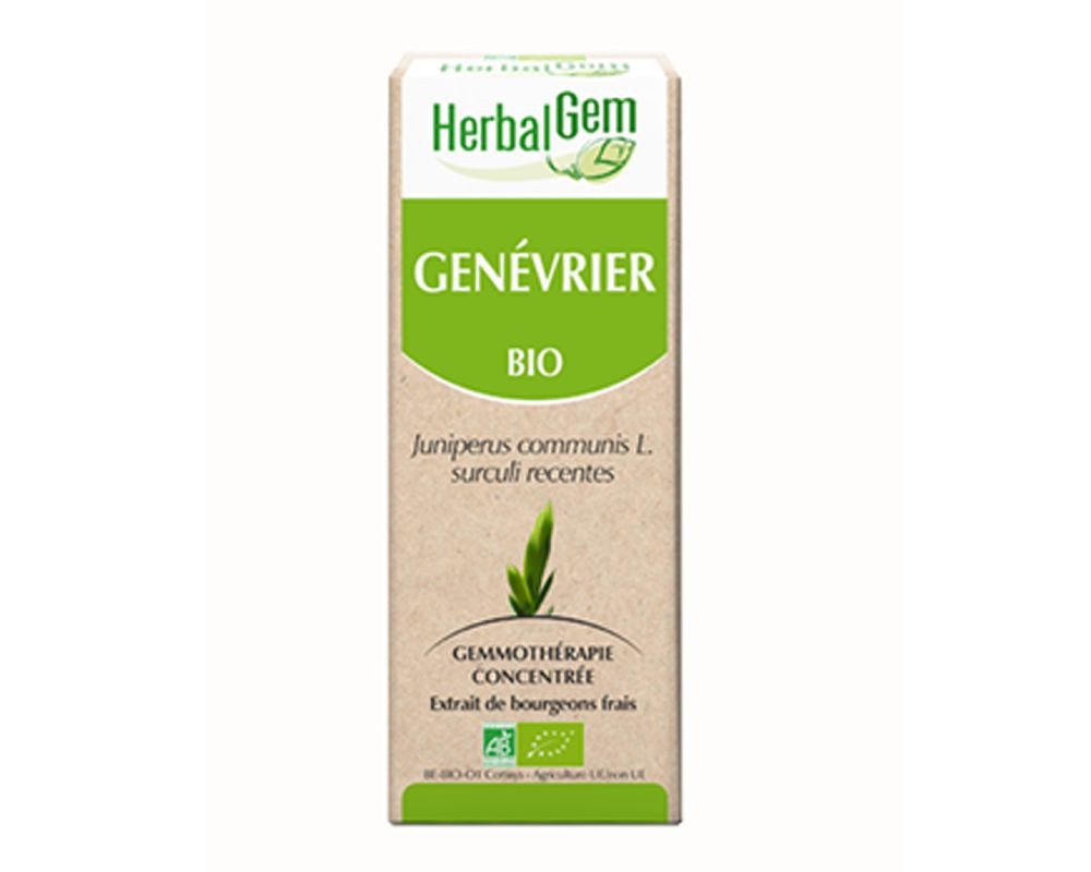 Genévrier - Macérat concentré de bourgeons BIO