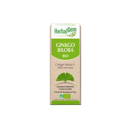 Ginkgo Biloba - Macérat concentré de bourgeons BIO