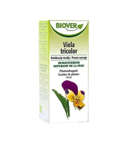 Pensée Sauvage (Viola tricolor) Teinture BIO