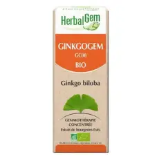 Ginkgogem - Complexe circulation BIO