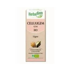 Celluligem - Complexe Ligne BIO