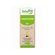 Amandier - Macérat concentré de bourgeons BIO