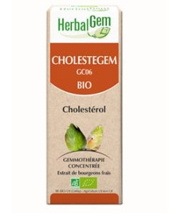 Cholestegem - Complexe Cholesterol BIO