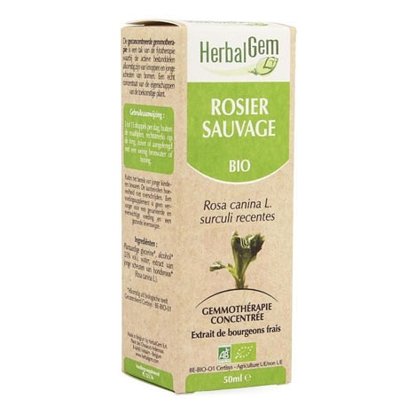 Rosier sauvage - Macérat concentré de bourgeons BIO