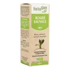 Rosier sauvage - Macérat concentré de bourgeons BIO