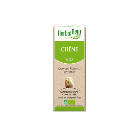 Chêne - Macérat concentré de bourgeons BIO