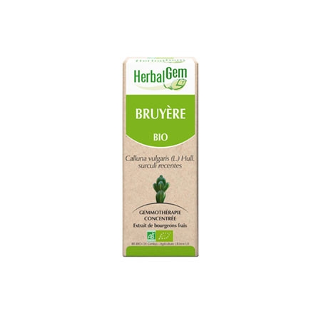 Bruyère - Macérat concentré de bourgeons BIO