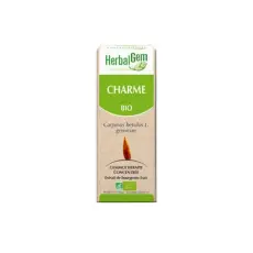 Charme - Macérat concentré de bourgeons BIO