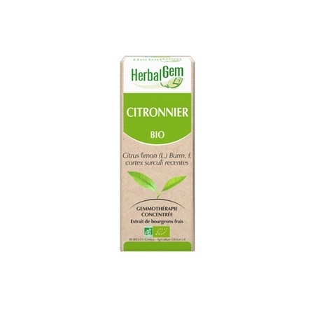 Citronnier - Macérat concentré de bourgeons BIO